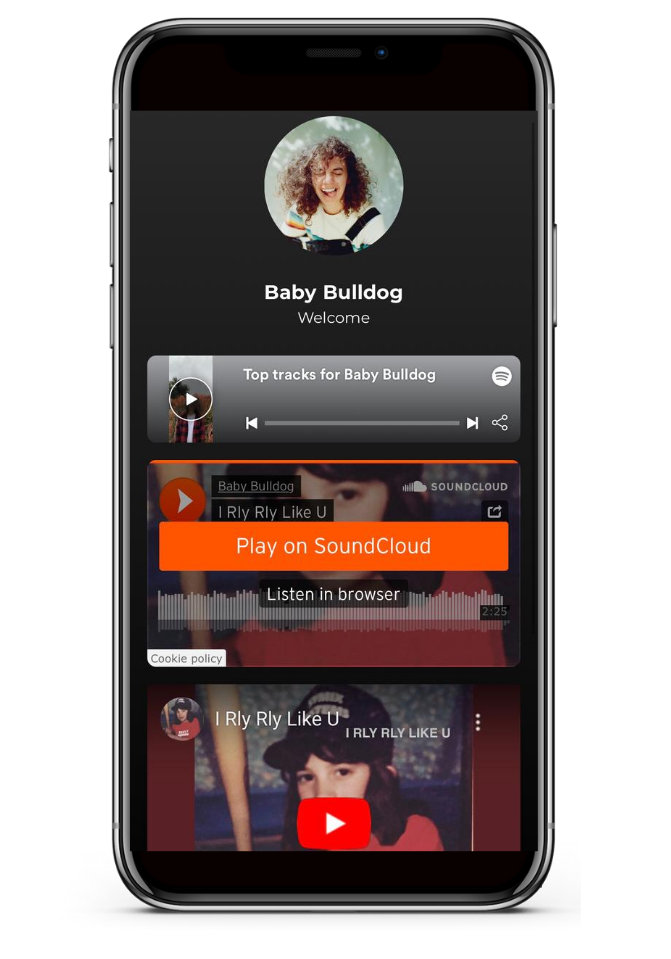 Adding Embeds - Video, Songs, Playlists & more – Help Center